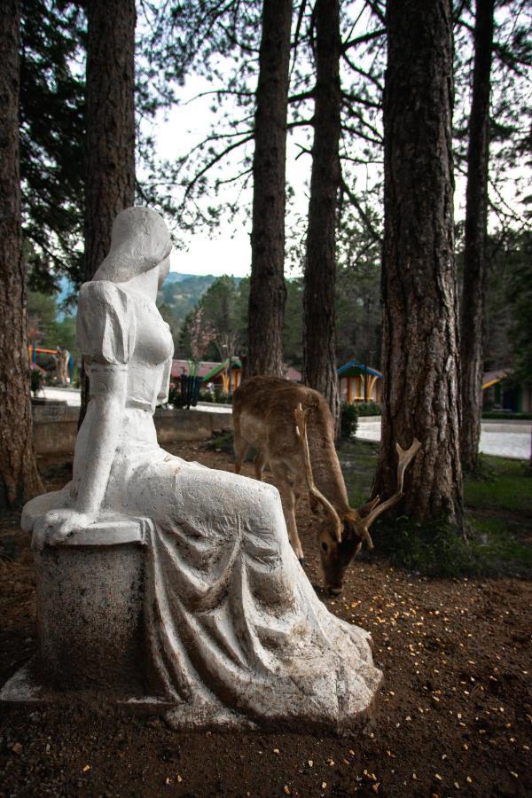 Te'Dreri - Llogora Tourist Village Dhërmi Buitenkant foto