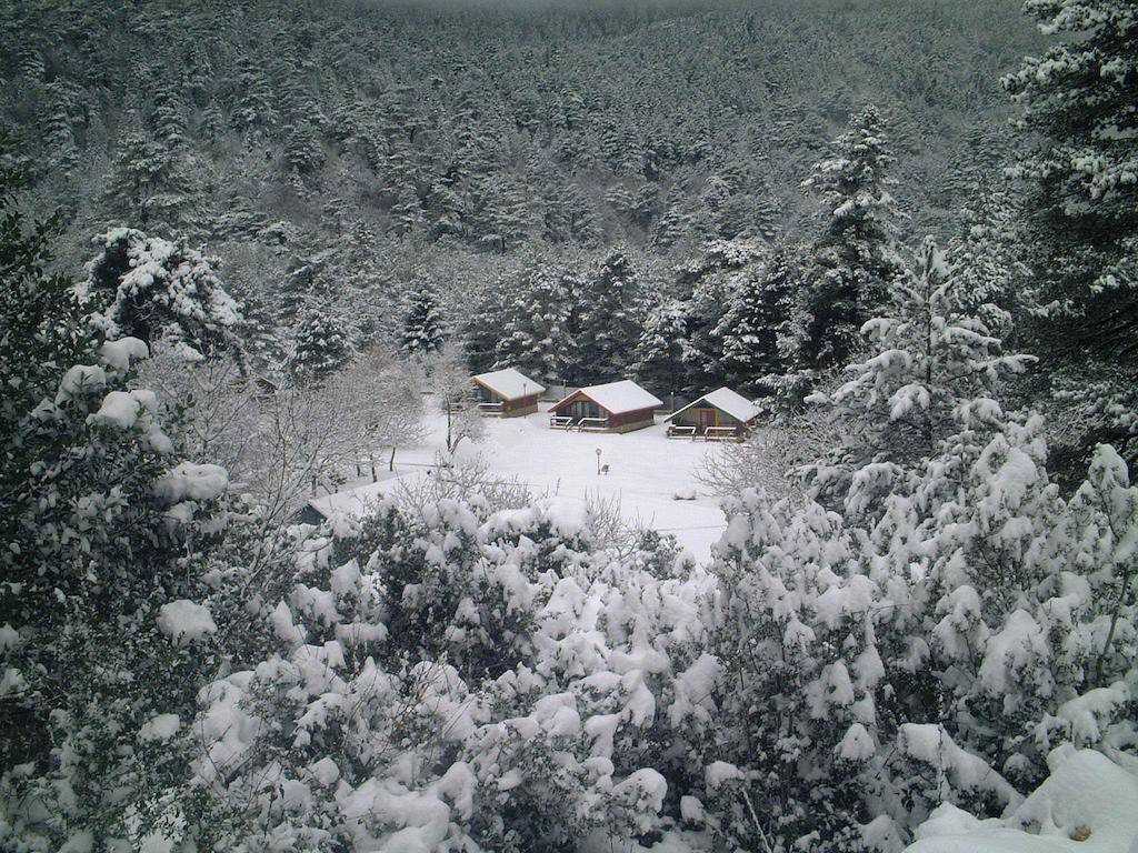Te'Dreri - Llogora Tourist Village Dhërmi Buitenkant foto